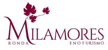 Servicios enoturístico